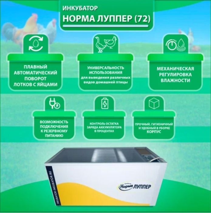 Инкубатор Норма Луппер, Блиц, вывод, птица, куры.