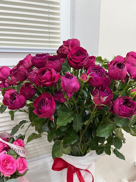 Цветы свежие недорого