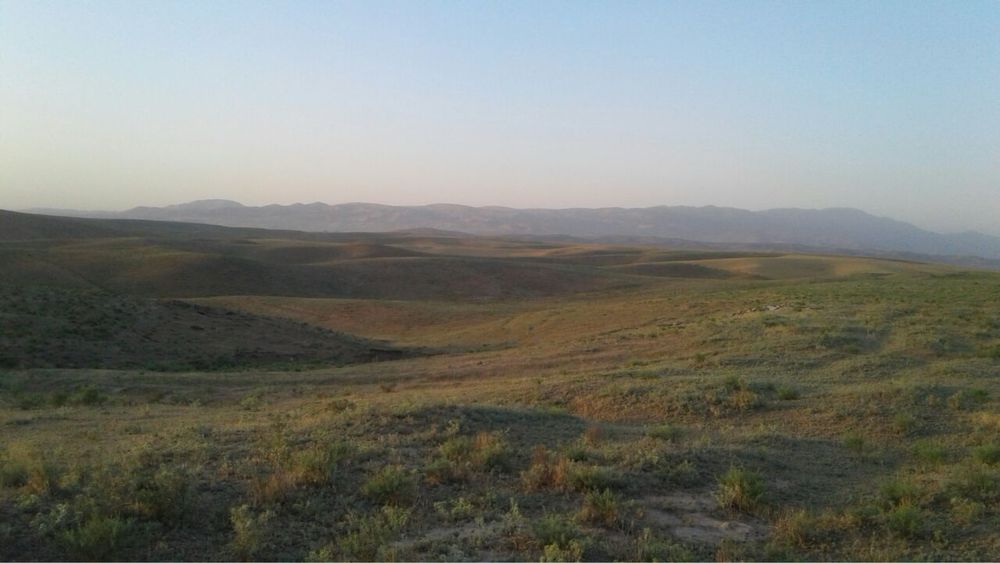 Ферма сотилади – Чорвачилик учун ажойиб жой!