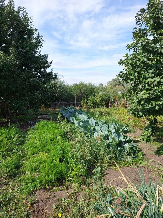 Продаётся дача, Федоровка