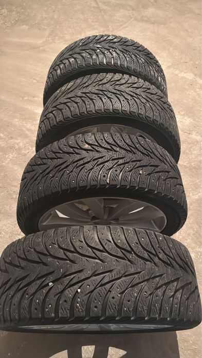 Жаксы донгелек артык кемшилик жок киа цератода турган жагдаиы жаксы