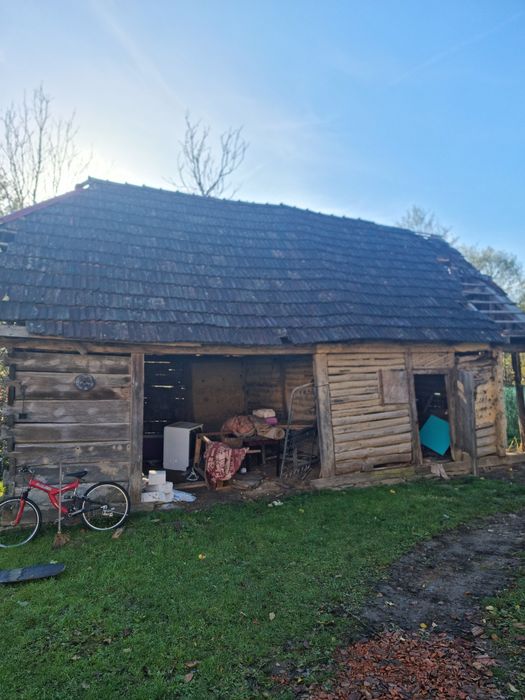 Lemn vechi sura veche lemn stejar cioplit in barda .