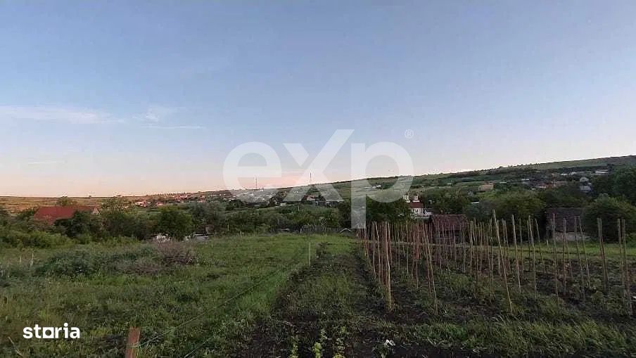 Teren intravilan 2500 mp, Valea Fanatelor, Cluj - 0% COMISION!