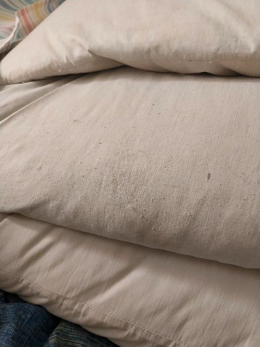 Перо,  пух птицы