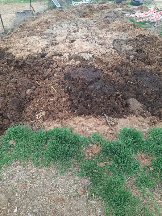 Навоз бесплатно коровы