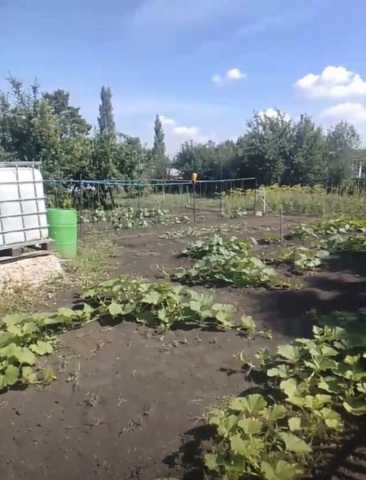 Продается Дача 12 соток