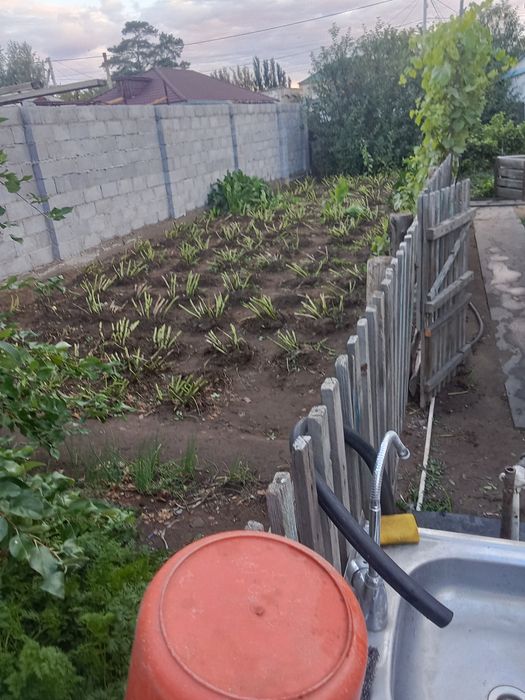 Продам дом в городе
