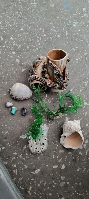 Аквариум в комплекте без рыб