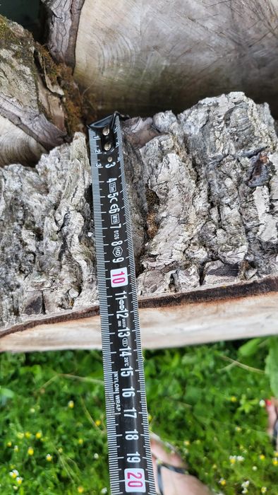 Bucăți felii din lemn de nuc