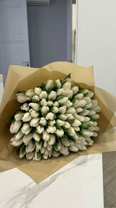 Тюльпаны голландские