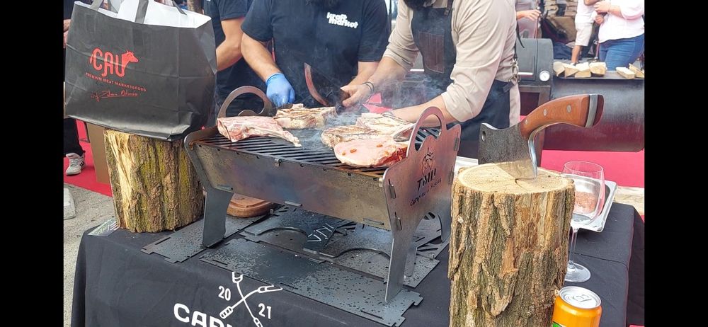 Gratar demontabil mare camping si pescuit TMD