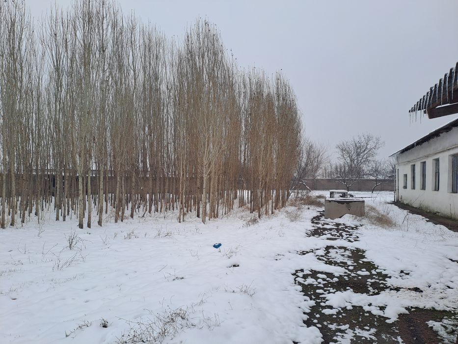 Продаётся здания