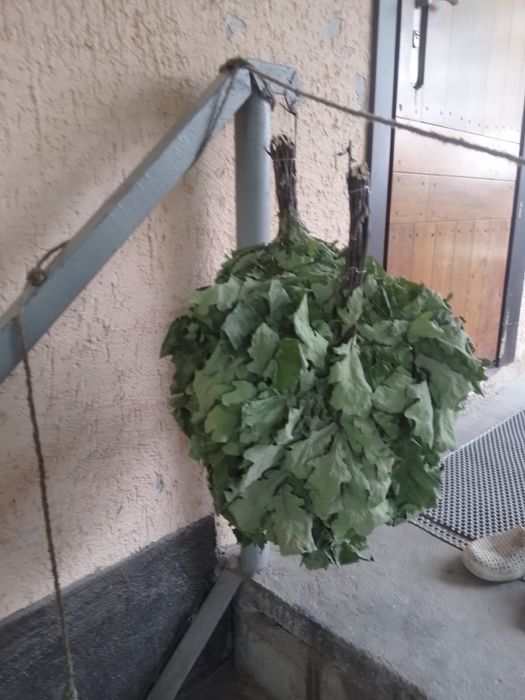 Дубовые банные веники для парения