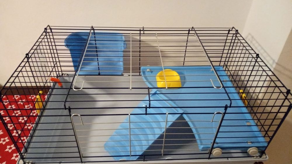 Cușcă iepurași cu accesorii , ofer și mâncare gratuit