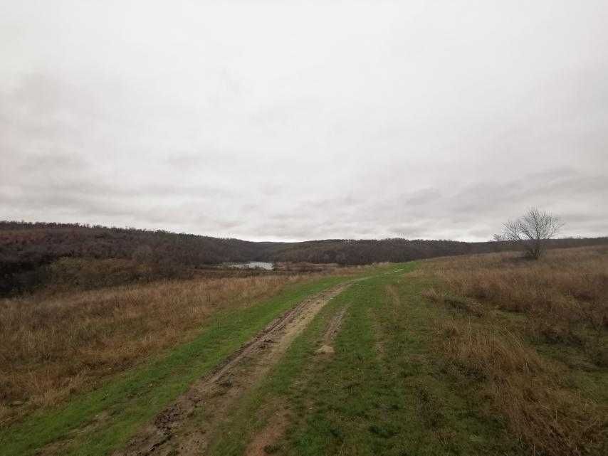 Продава се Земеделски имот в Сунгурларе -  кв.м за 1054 €/дка - Снимка #3