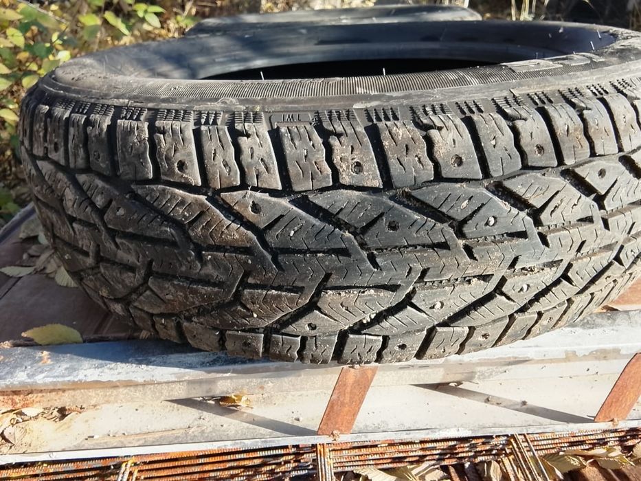 Авто шины продам