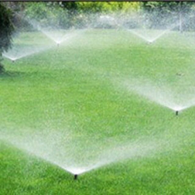 Газон екиш хизмати gazon ekish hizmati гатови газон yevro