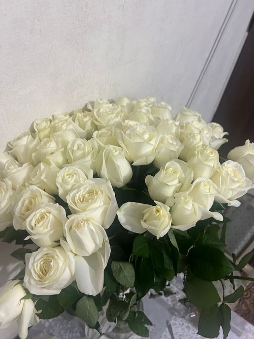 Белые розы свежий 51шт