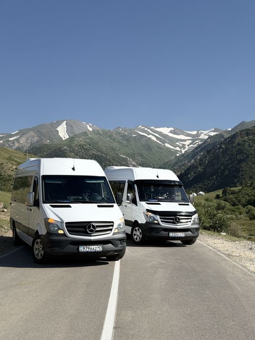 Пассажирский перевозки мерседес спринтер