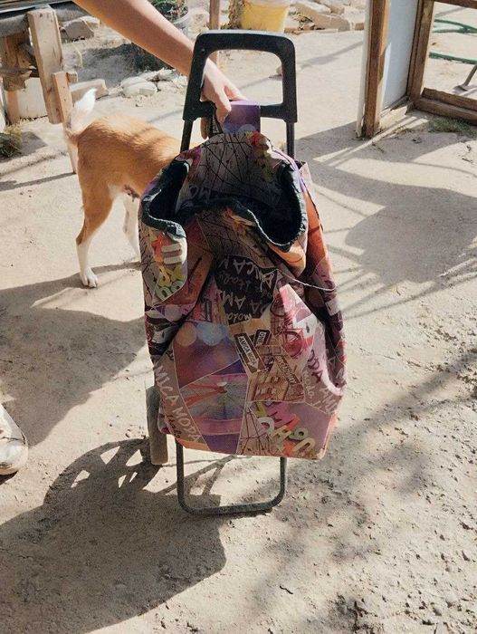 Тележка бытовая с сумкой