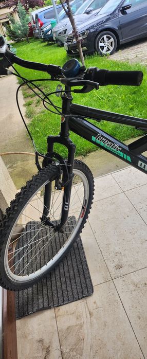 Bicicletă de adult