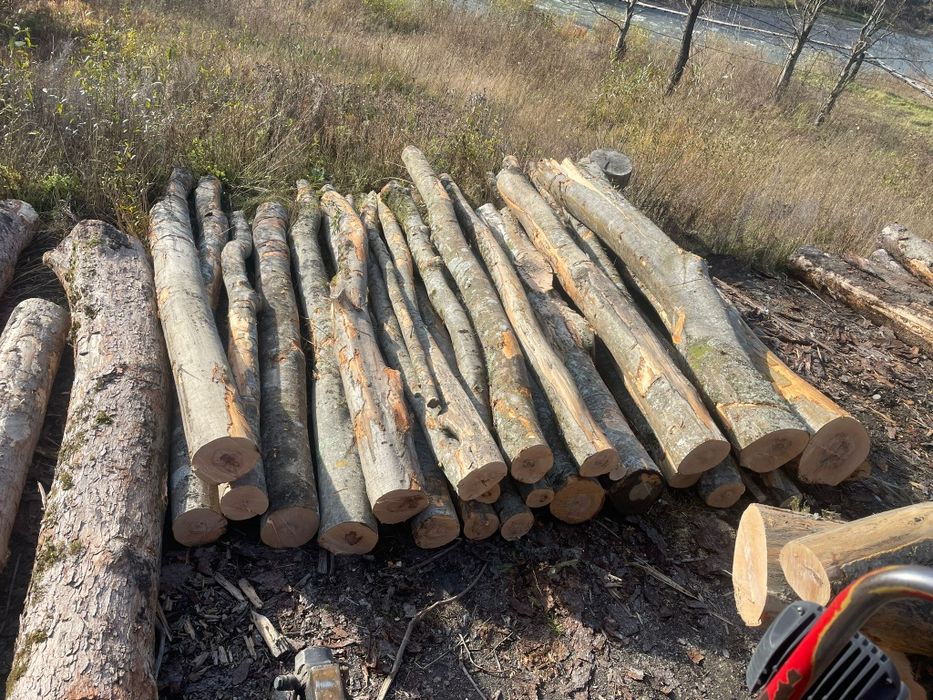 Lemn de foc și cherestea