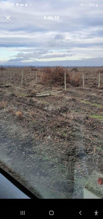 Vand spalieri de vie gard