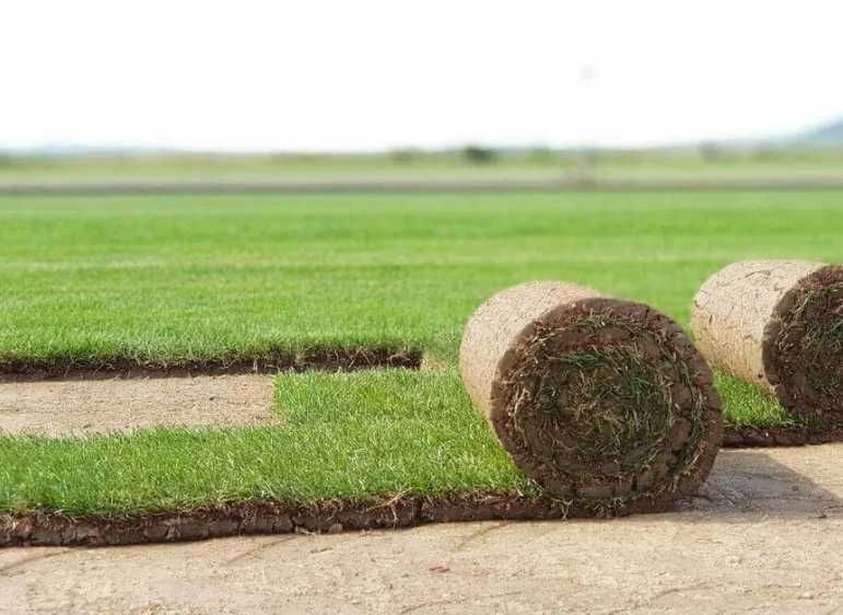 Gazon Rulou Sport Premium Oriunde in tara!