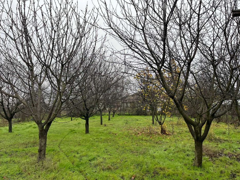 Продава се Къща в с. Ветрен, Област Силистра - 920 кв.м за 9 €/кв.м - Снимка #2