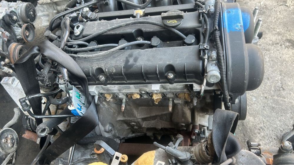 Двс Форд Фокус 1.6 ванус Бензин