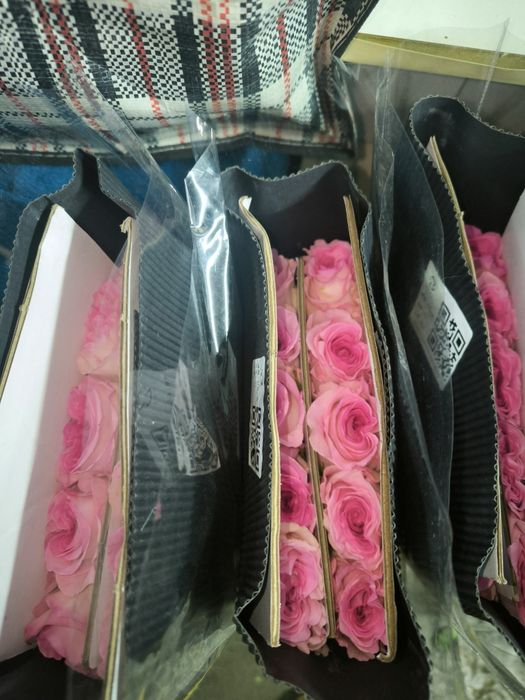 Продам Розы.На 8марта