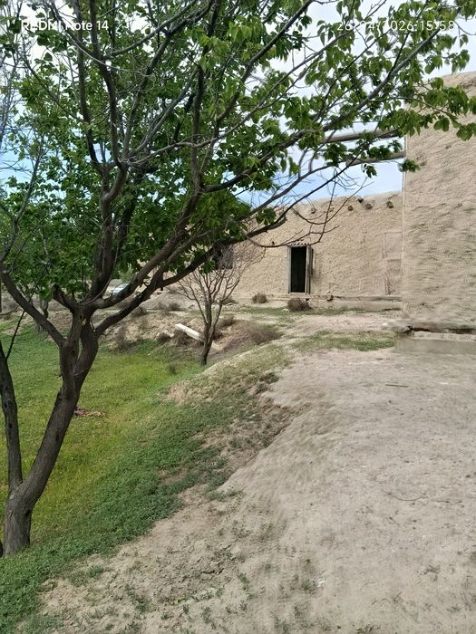 Uy sotiladi Shofirkon tumani Guliston qishlogʻi 32 sotix