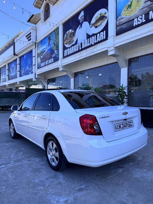 Kraska Tozza !!! Jentira Elegant plus 2019 yil