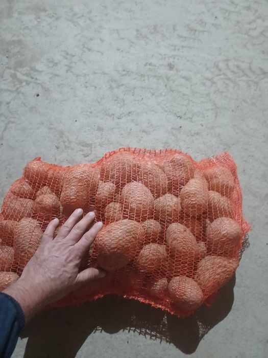 Cartofi consum la 10 kg, de nisip