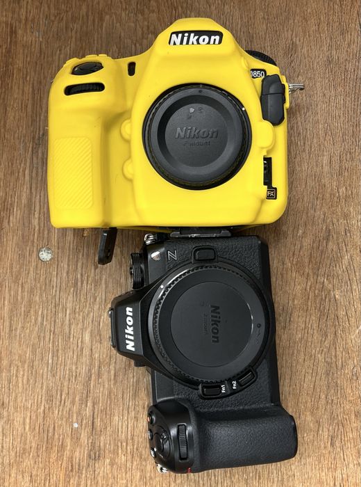 Nikon D850 + Nikon Z6 III - Ca Noi