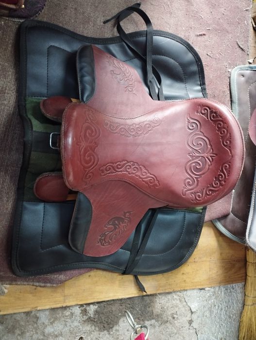 тоқымдарерлер тб