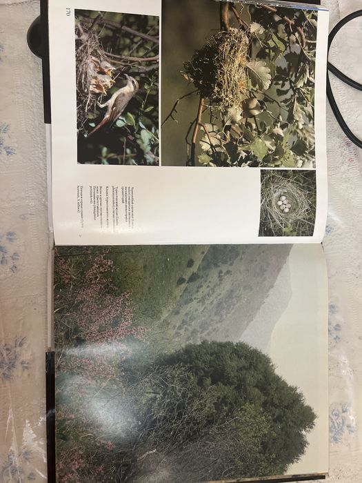 Продается книга Аксу Джабагылы