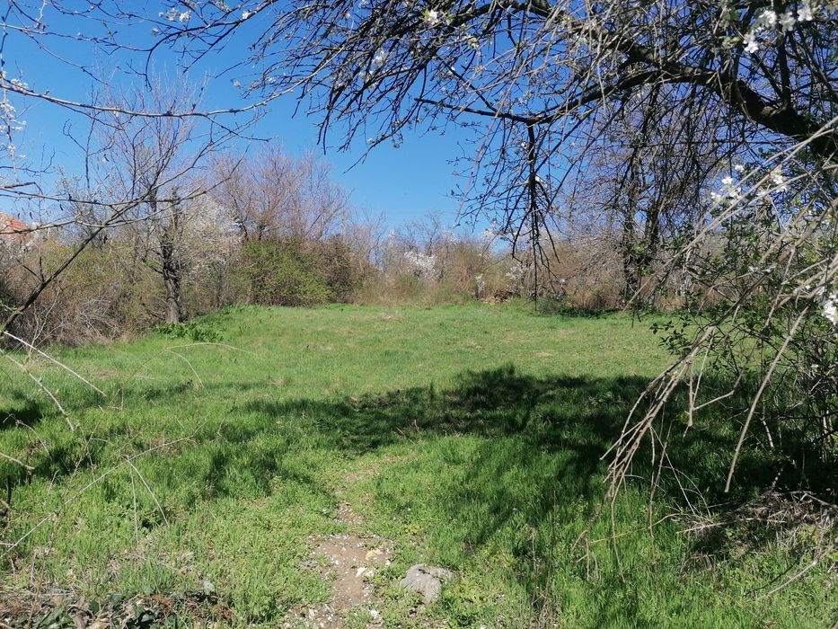 Парцел 1000кв. м. с. Николаево, обл. Плевен