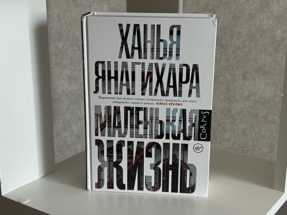 Книга Маленькая Жизнь