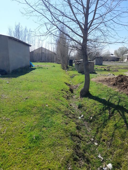 Кадастири бор ер участка. Булунгур Октепа да 58 соток.