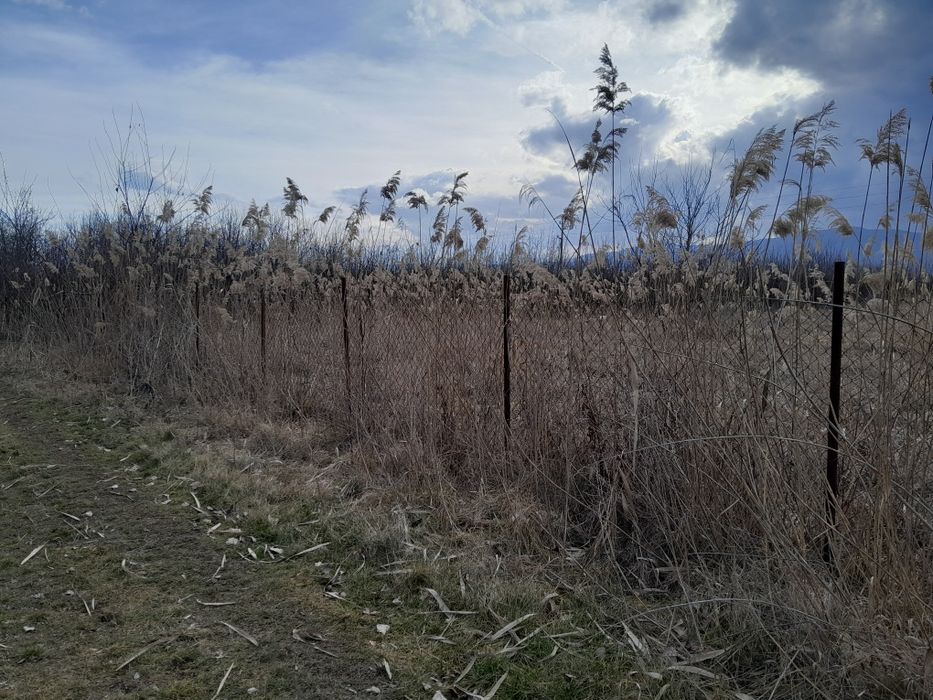 Продава се Земеделски имот в с. Жиленци, Област Кюстендил -  кв.м за 3800 €/дка - Снимка #4