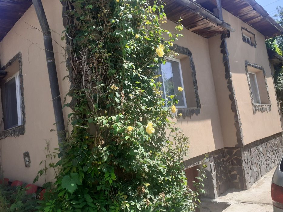 Vind   ,    Proprietar Ocolis Maramures str Culturii nr 110 vind casa cu anexe