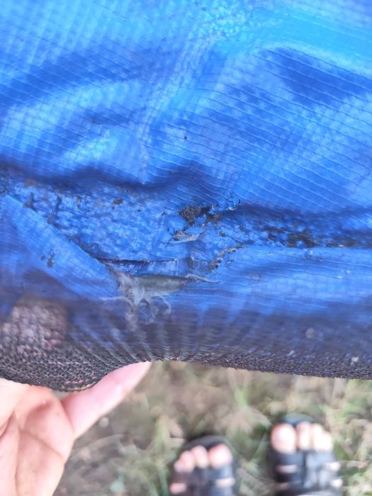 Trambulina de exterior cu diametru 240