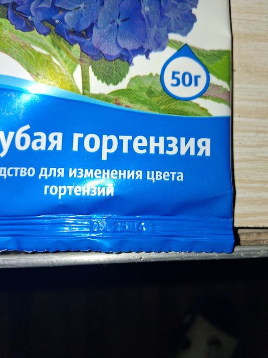 Голубая Гортензия. Для изменения цвета. В голубой.