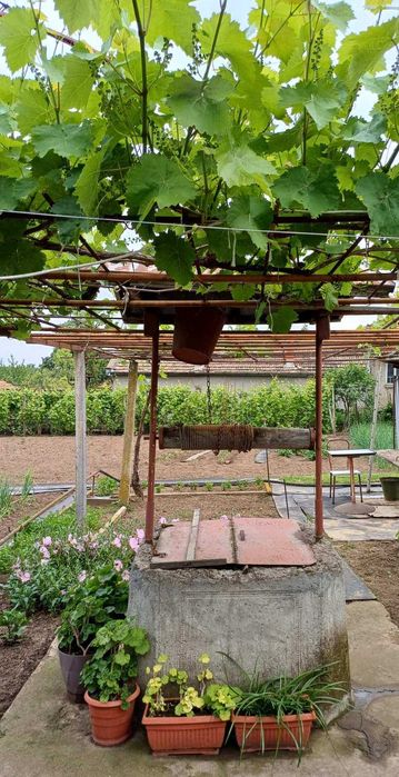 Продава се Къща в Русе, Здравец Север 1 - 1253 кв.м за 24 €/кв.м - Снимка #4