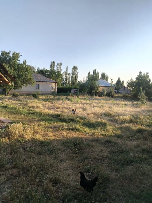 Участок 17 соток Ачикуль