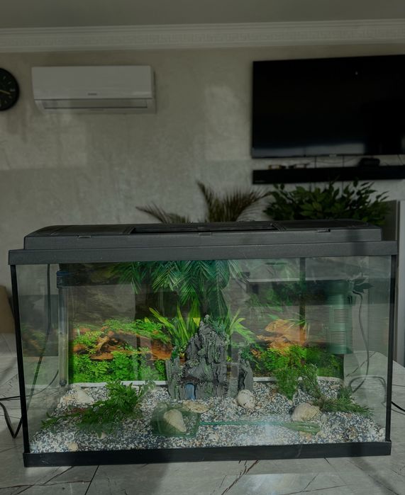 Acvariu  pesti complet 100 litri