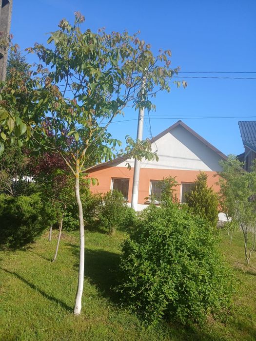 De vânzare casa sat Bodo