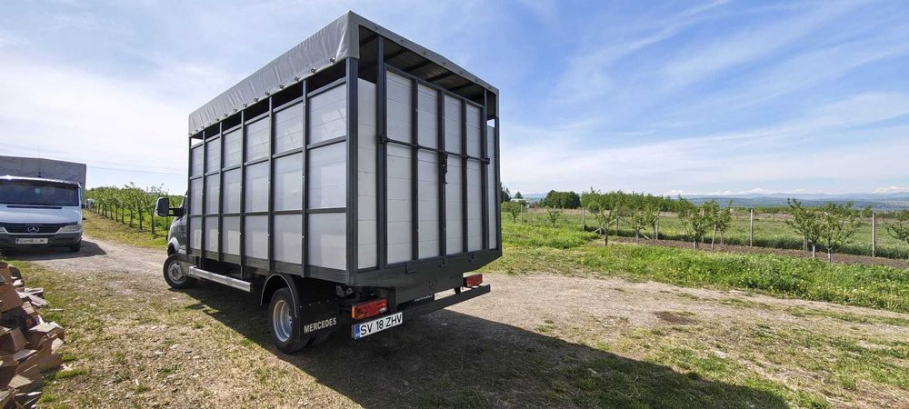 Mercedes Sprinter 515 CDI,  Transport animale, 2007