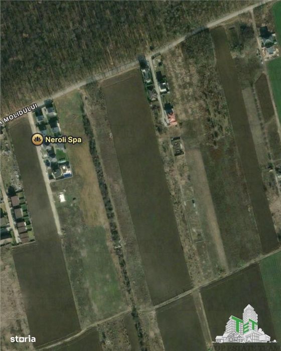 Teren de vanzare langa padure| Tamasi, Corbeanca | 1170mp